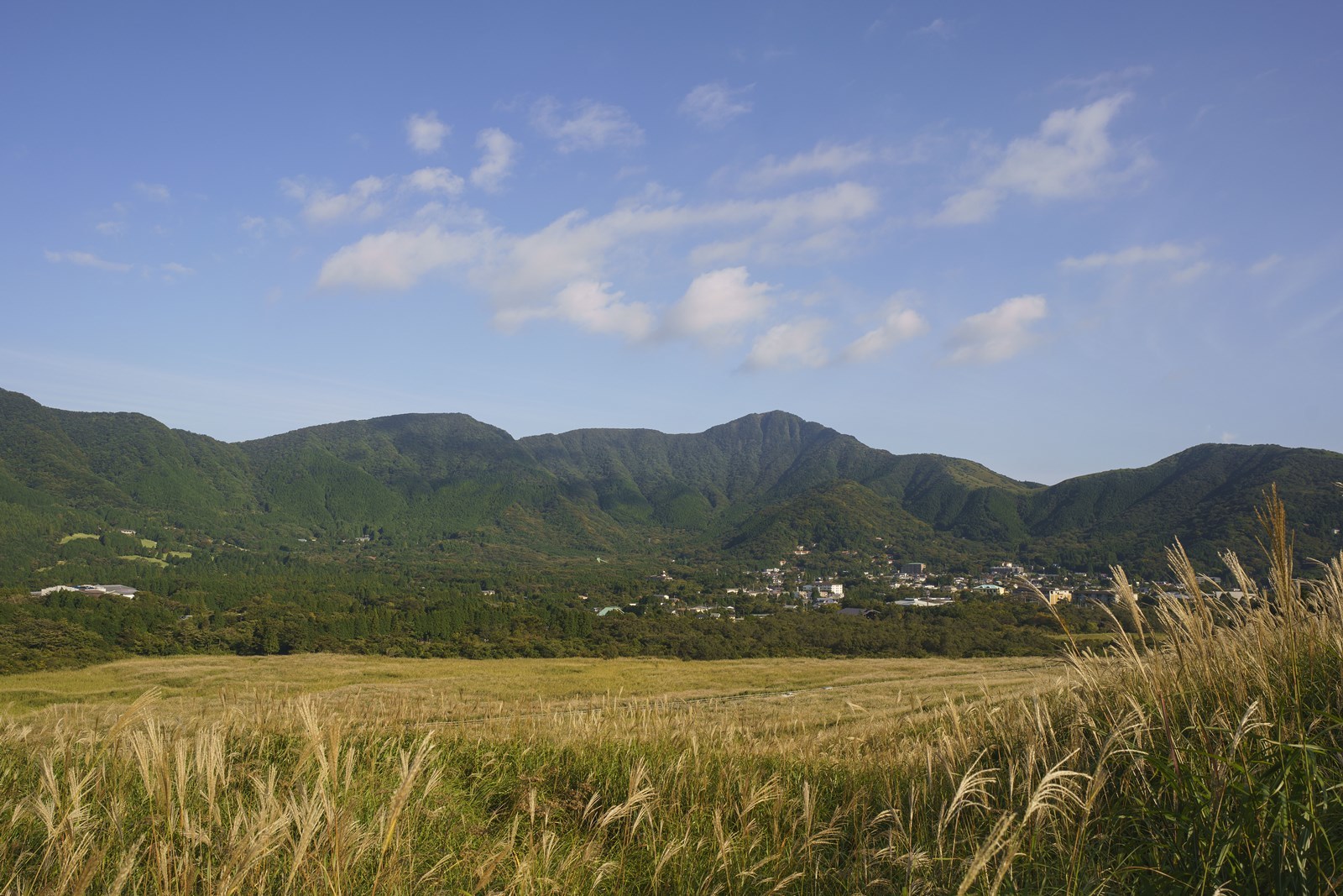 b0145398_21541719.jpg