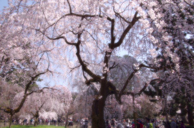c0382798_15092841.jpg
