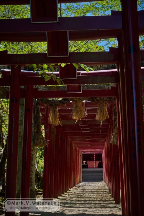 鳥森神社_e0135098_19442504.jpg