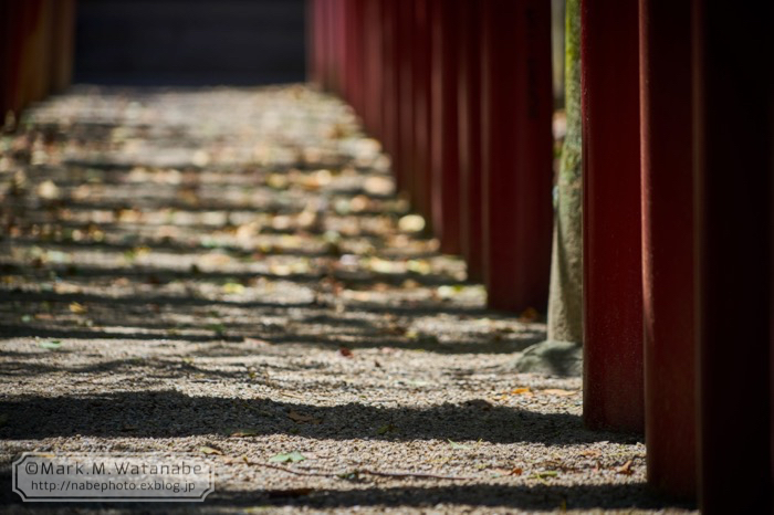 鳥森神社_e0135098_19443837.jpg