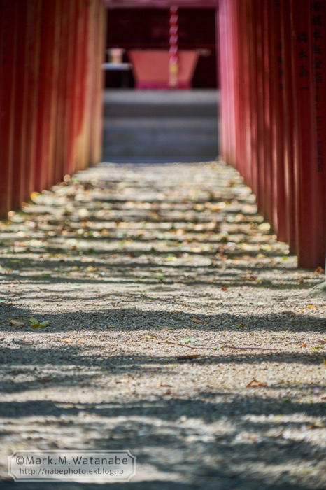 鳥森神社_e0135098_19445025.jpg