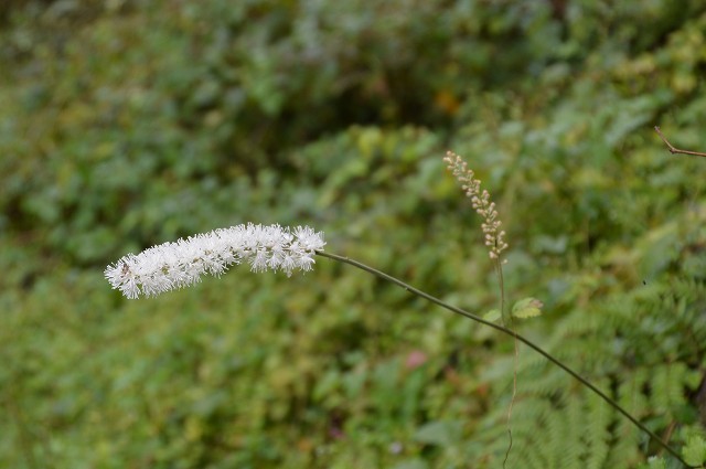 c0124100_19030036.jpg