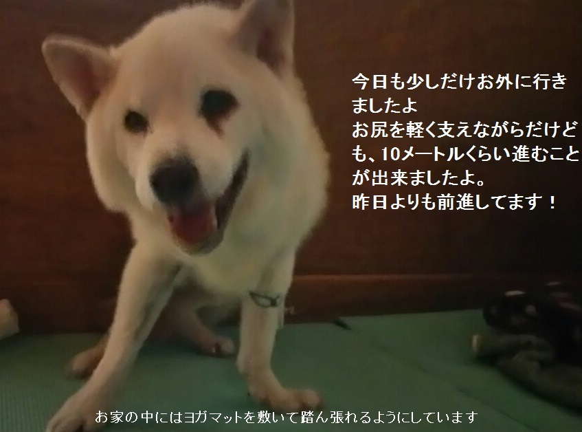 納得のいかないこと_f0242002_00011661.jpg