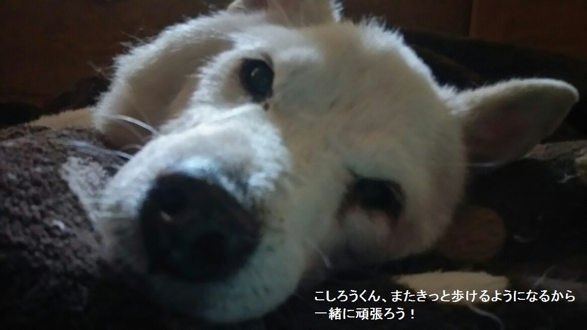 納得のいかないこと_f0242002_00013681.jpg
