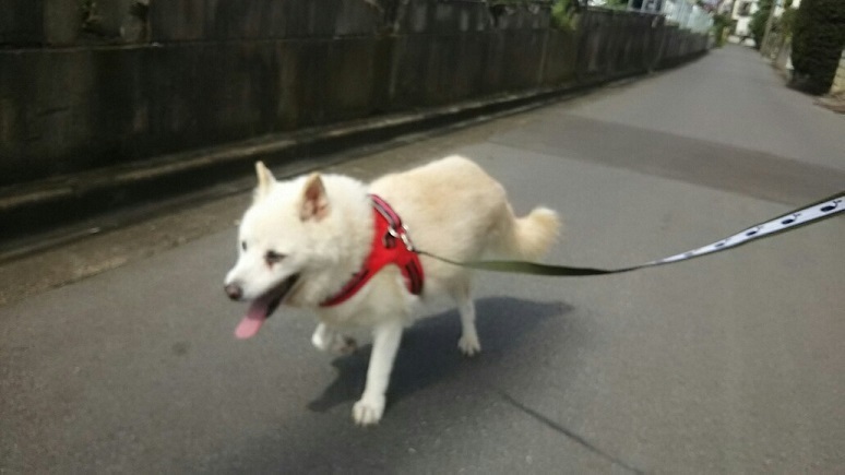 納得のいかないこと_f0242002_00015068.jpg