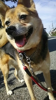 ぶらりひとり散歩_f0242002_23262078.jpg