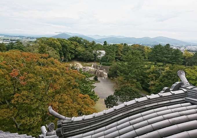 京都南山城村～忍者の里伊賀上野へ_d0265607_2392586.jpg