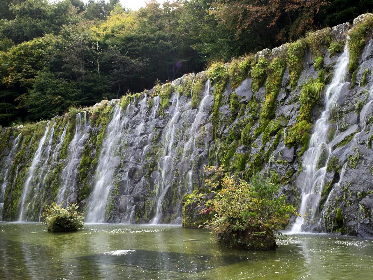 山中湖花の都公園の秋～渓流の里_b0225108_09233485.jpg