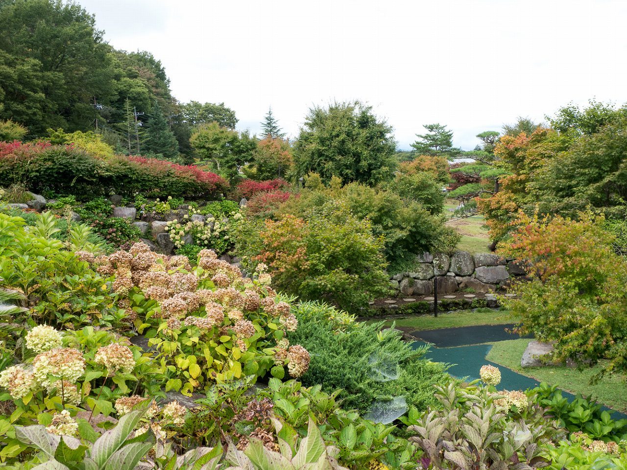 山中湖花の都公園の秋～渓流の里_b0225108_09233732.jpg