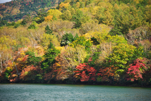 奥日光　湯ノ湖の紅葉1_a0263109_10430264.jpg