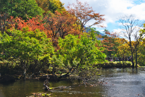 奥日光　湯ノ湖の紅葉1_a0263109_10430274.jpg