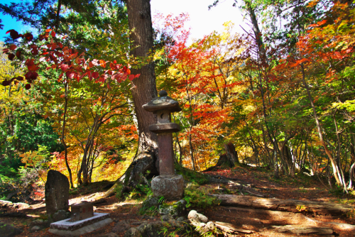 奥日光　湯ノ湖の紅葉1_a0263109_10430424.jpg