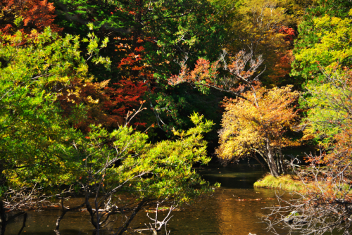 奥日光　湯ノ湖の紅葉1_a0263109_10430663.jpg