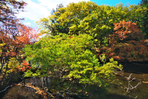 奥日光　湯ノ湖の紅葉1_a0263109_10430737.jpg