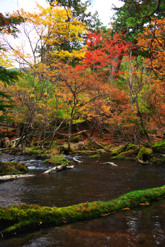 奥日光　湯ノ湖の紅葉1_a0263109_10502622.jpg