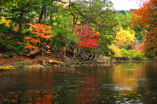 奥日光　湯ノ湖の紅葉1_a0263109_10502692.jpg