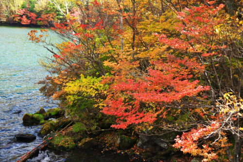 奥日光　湯ノ湖の紅葉1_a0263109_10502908.jpg