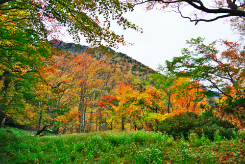 奥日光　湯ノ湖の紅葉1_a0263109_10512622.jpg