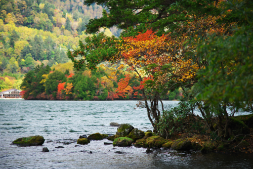 奥日光　湯ノ湖の紅葉2_a0263109_10540450.jpg