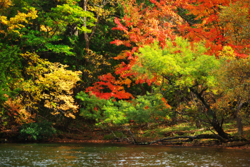 奥日光　湯ノ湖の紅葉2_a0263109_10545998.jpg