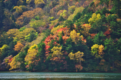 奥日光　湯ノ湖の紅葉4_a0263109_11115545.jpg