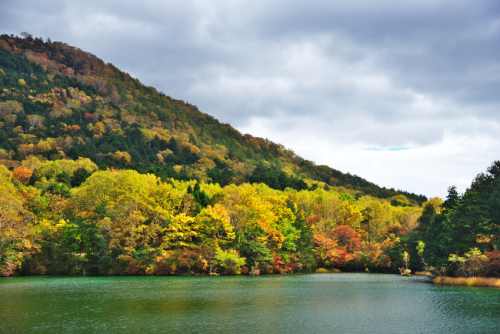 奥日光　湯ノ湖の紅葉4_a0263109_11122805.jpg