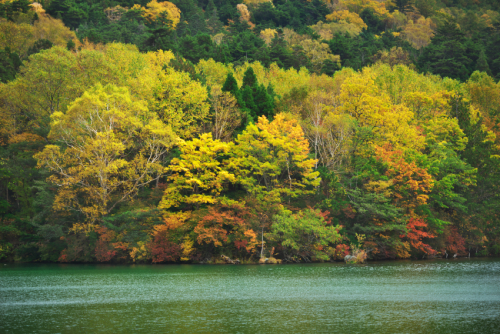 奥日光　湯ノ湖の紅葉4_a0263109_11122828.jpg