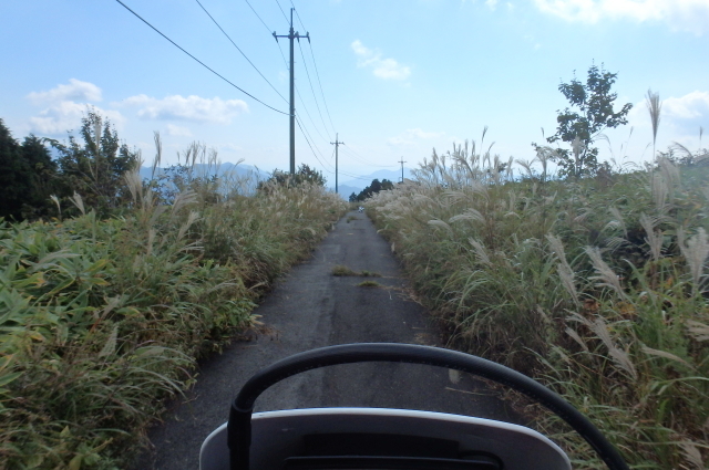 f0368610_09061108.jpg