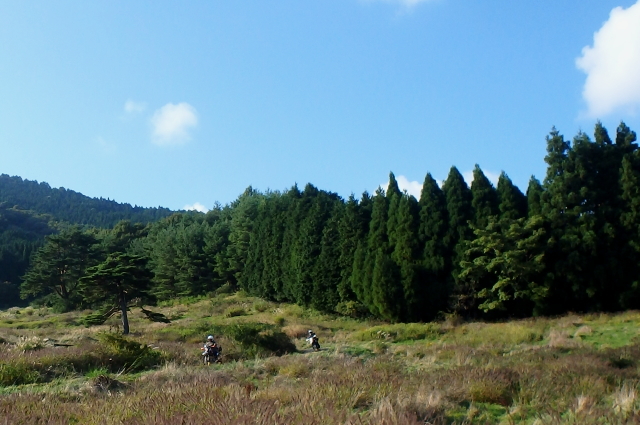 f0368610_09090358.jpg