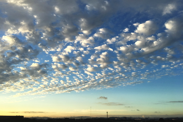 f0368610_23461643.jpg