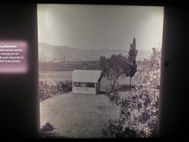b0064411_04205014.jpg