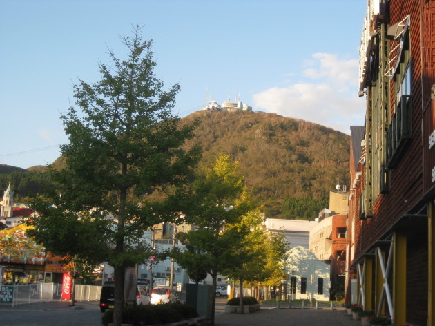 b0183111_15341419.jpg