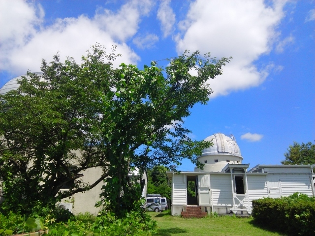 e0033713_19095232.jpg