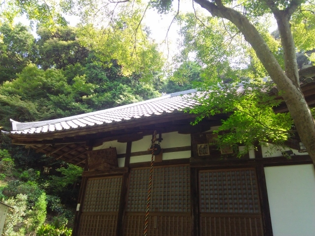 e0033713_19342548.jpg