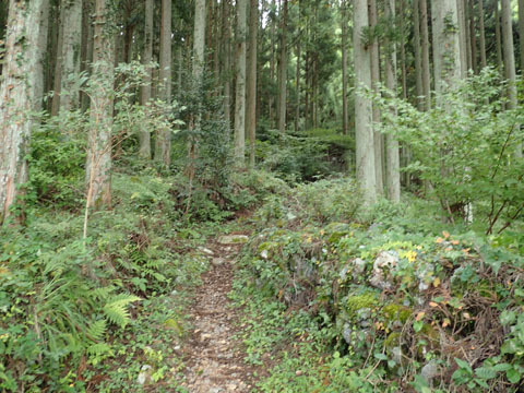 e0293913_16410710.jpg