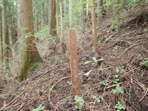 e0293913_16492116.jpg