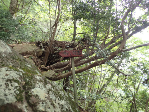 e0293913_16543371.jpg