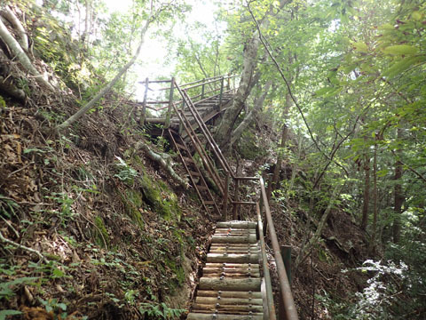 e0293913_17134029.jpg