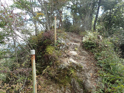e0293913_17135028.jpg
