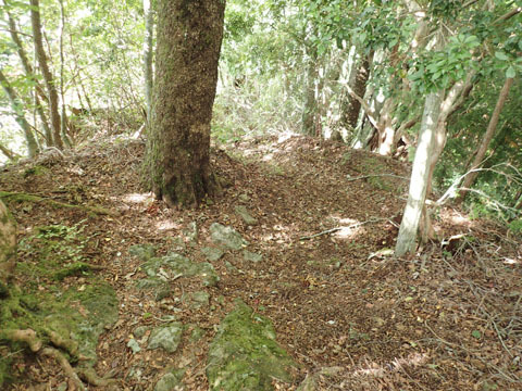 e0293913_17304432.jpg