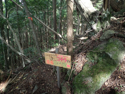 e0293913_17313919.jpg