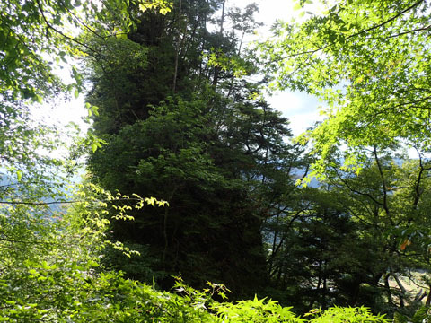 e0293913_17365824.jpg