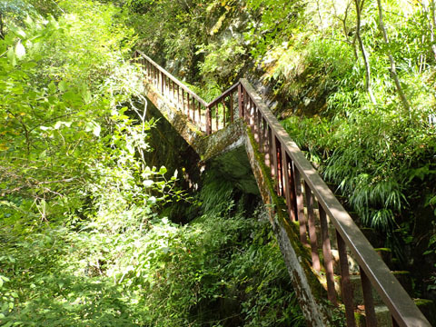 e0293913_17374010.jpg