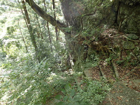 e0293913_17393573.jpg