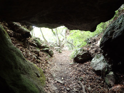 e0293913_17395297.jpg