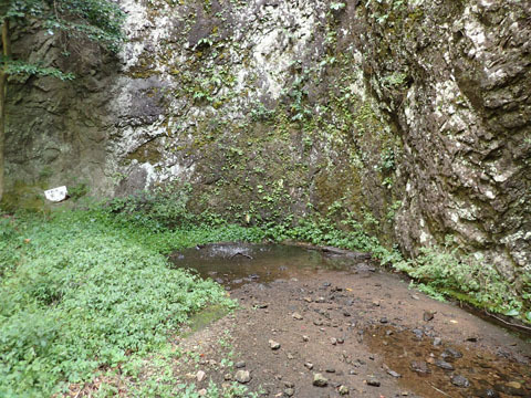 e0293913_17401498.jpg