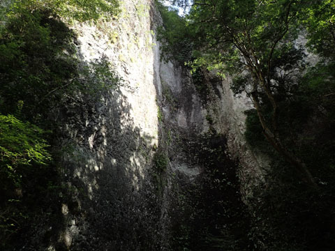 e0293913_17402071.jpg