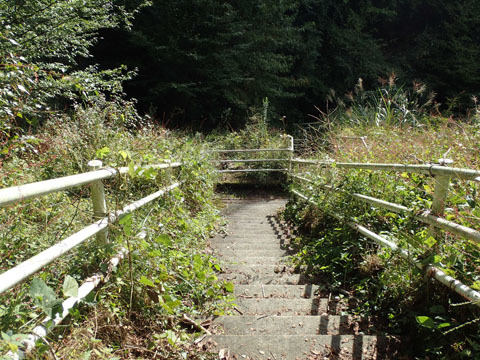e0293913_17435316.jpg