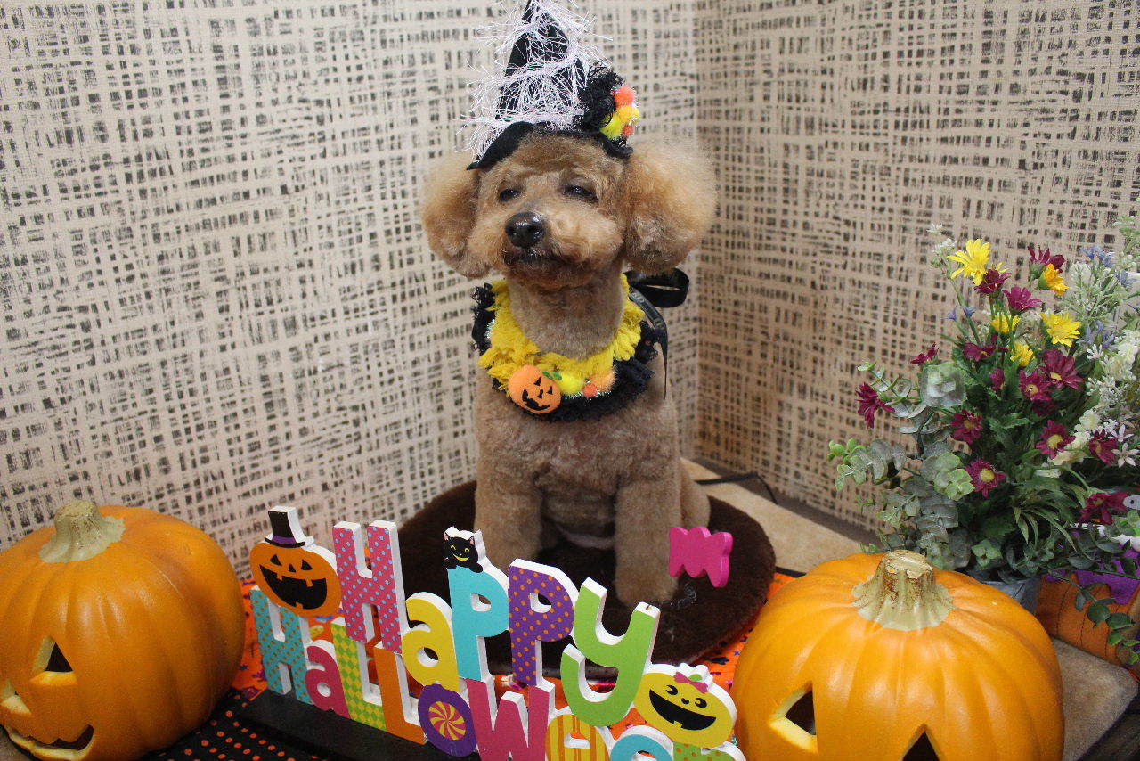 10月10日ご来店のお客様です！！_b0130018_22241404.jpg