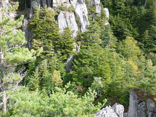 奥秩父　小川山　【烏帽子岩左稜線】　2017秋　　　　　Rock Climbing in Mount Ogawa, Chichibu-Tama-Kai NP_f0308721_19394054.jpg